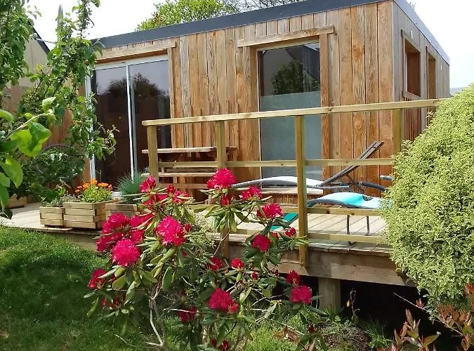 Tiny House Dans Jardin Arbore