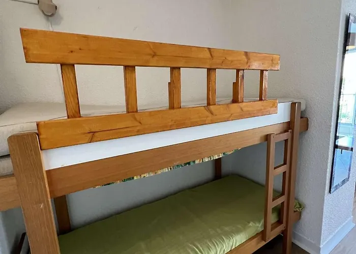 Studio 4 Pers, Loggia, Proche Plage, Parking Prive, Animaux Acceptes - Fr-1-702-41