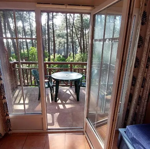 Agreable T2 Lisiere Du Golf Lacanau Ocean