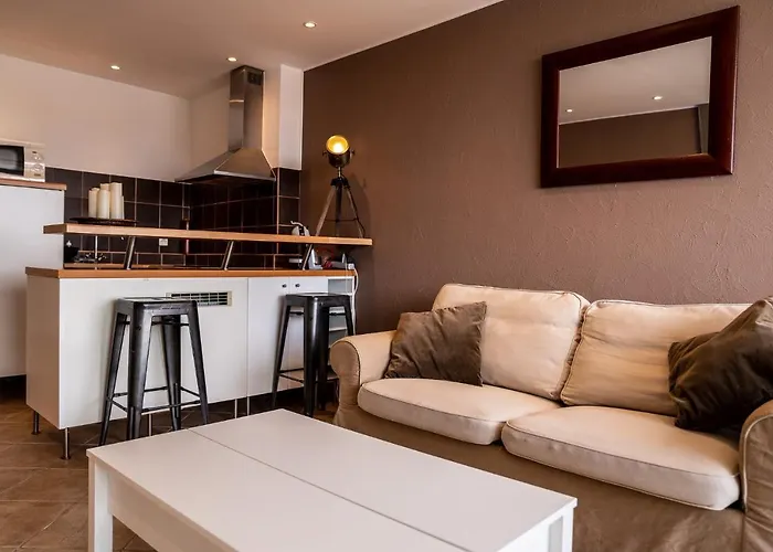 Cap d'Agde Suit'Appart 42m2 T2 Village Naturiste