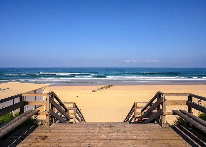 La Cabane Land'Aise Apercu Ocean Mimizan Plage A Pieds