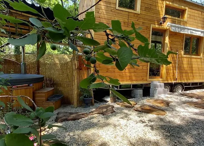 Mini maison tiny house et son bain nordique