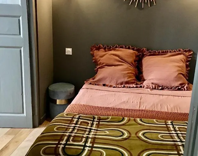 Appartement 35 m2 Hôtel Particulier XVII ieme Centre Historique Clermont-Ferrand-Lucas II