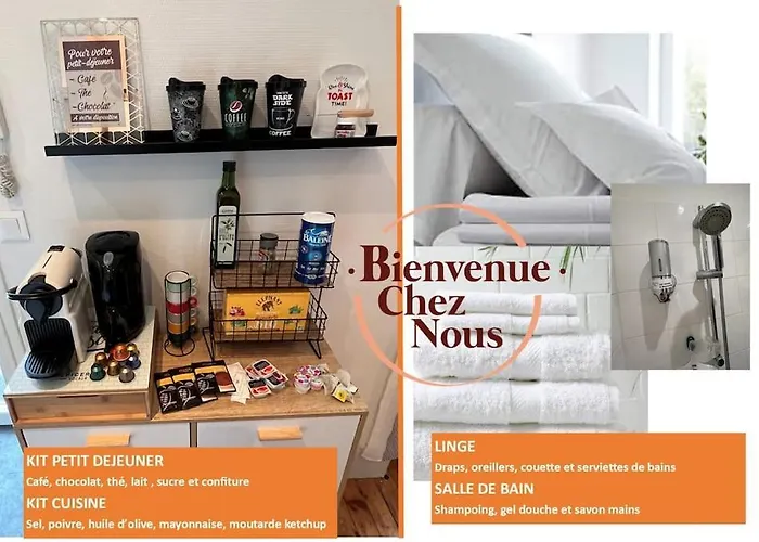 New Cosy Appartement Plein Centre Clermont-Ferrand Augustins A
