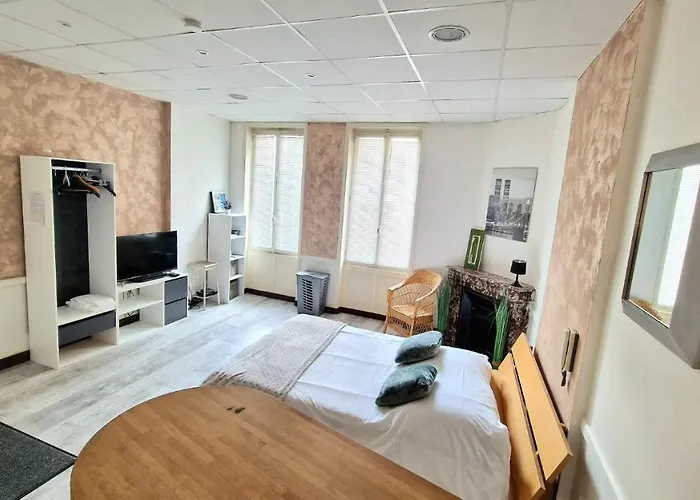 Appart hôtel Roanne hyper centre ville