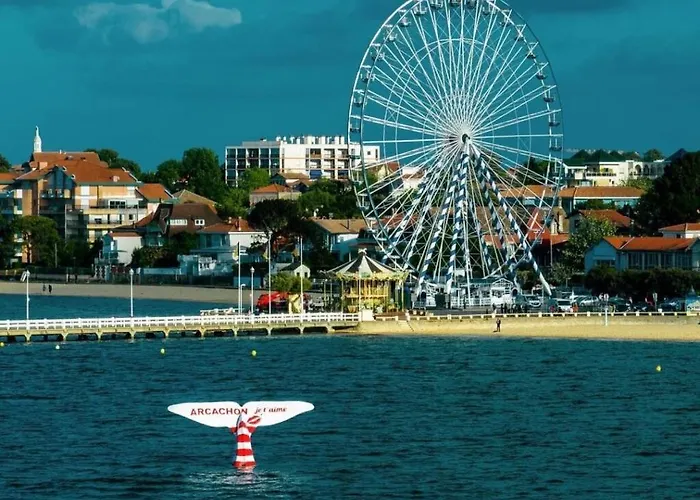 Le Studio De La Plage Centrale