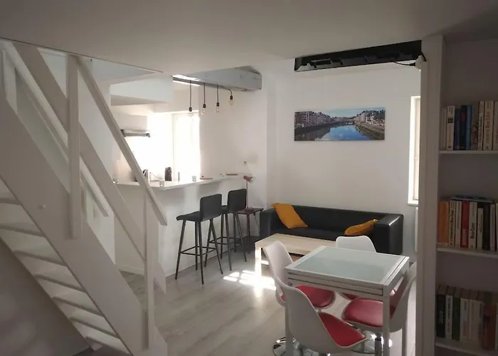 Charmant Duplex En Plein Centre De Bayonne