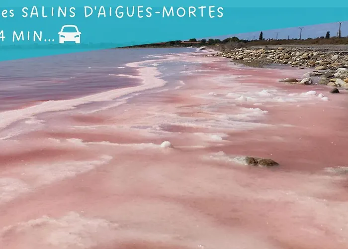 Le Flamant Rose - Cosykaz