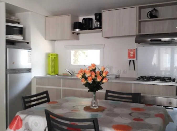Superbe Mobil Home 6 Pers 300M De La Mer