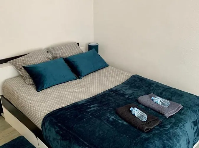 Agréable appartement 2 pieces a forbach avec Garage fermé - check in autonome