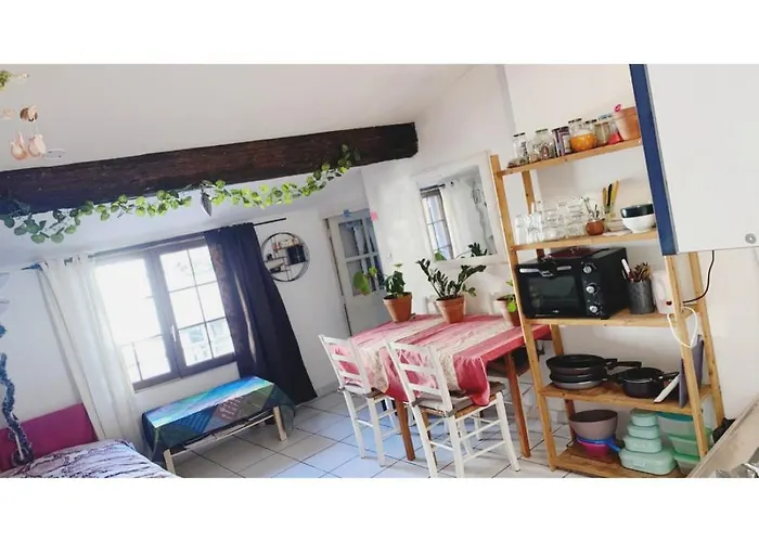 Appartement Cosy Au Coeur De Montpellier