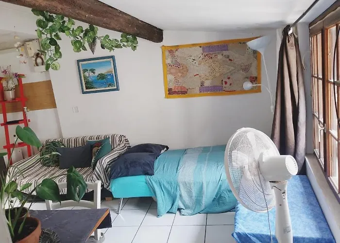 Appartement Cosy Au Coeur De Montpellier