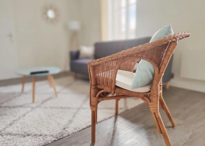 T2 neuf Le SCANDINAVE