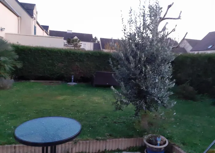La petite mouette
