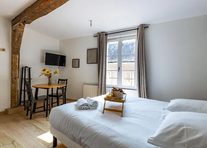 La Suite Littéraire, 5mn du ZooParc de Beauval