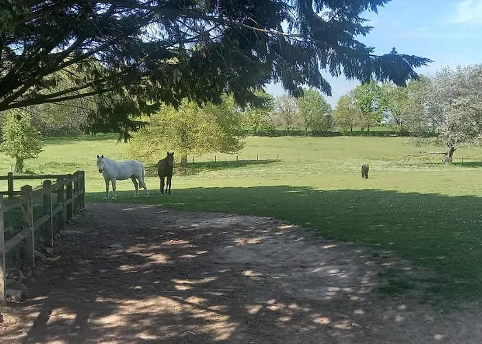 Les Grands Bois à BOUSSE
