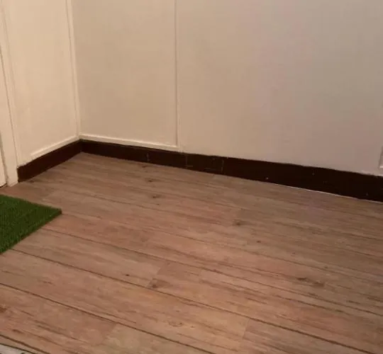 Tres Charmant Logement a Vierzon