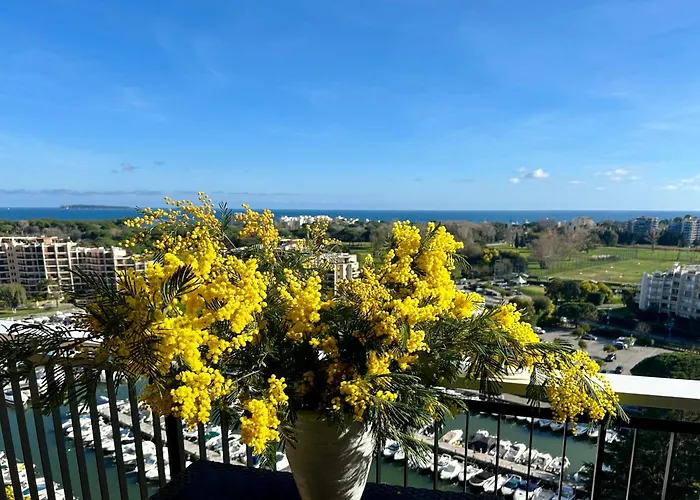 Appart Hotel Mandelieu