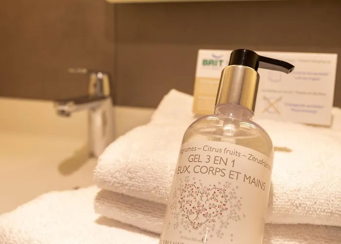 Brit Hotel Ploermel - Hotel de l'Hippodrome