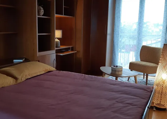 Appartement vue mer à 100m de la plage au centre de Carantec
