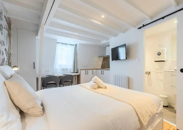 Lille Beaux Arts equipped apartment
