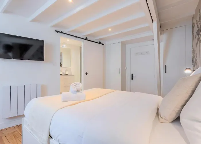 Lille Beaux Arts equipped apartment
