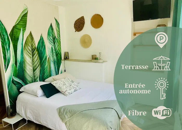 Le Tropical - Studio Avec Terrasse