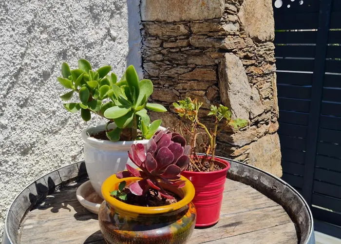 T2 Recent + Plage A 10Min + Clim + Rez De Jardin
