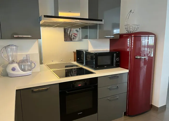 Appartement 3 Etoiles A 50M De La Plage De Royan Avec Terrasse Et Parking Prive - Fr-1-539-2