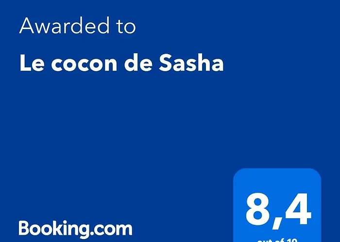 Le Cocon de Sasha - Hyper Centre - FULL Climatisation - Proche Gare - 1 chambre - Canapé convertible - Géré par Presta-Zen'Services
