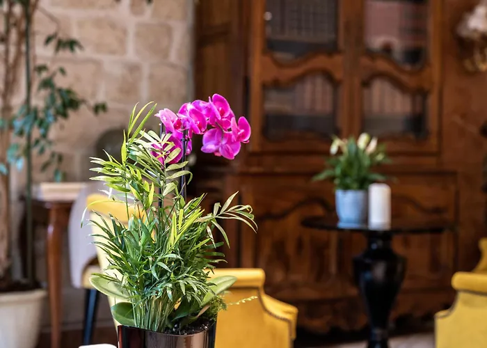 Hôtel central: Hotel Minerve