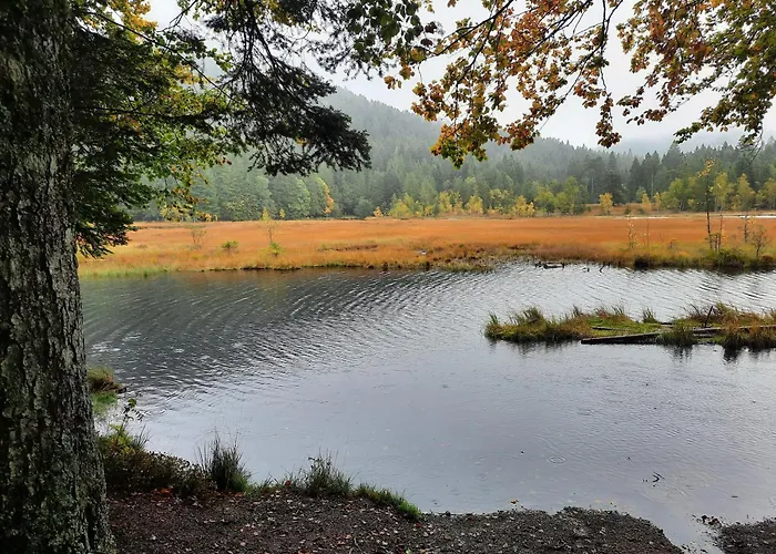Au Cœur des Lacs - Chambres d'hôtes&Spa