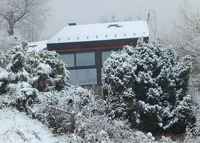 chalet près des pistes avec vue panoramique