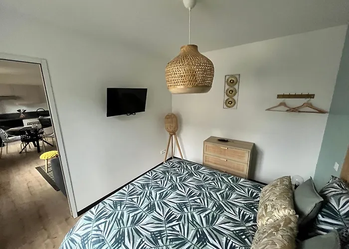 Coin de paradis avec spa illimité en plein centre Avranches