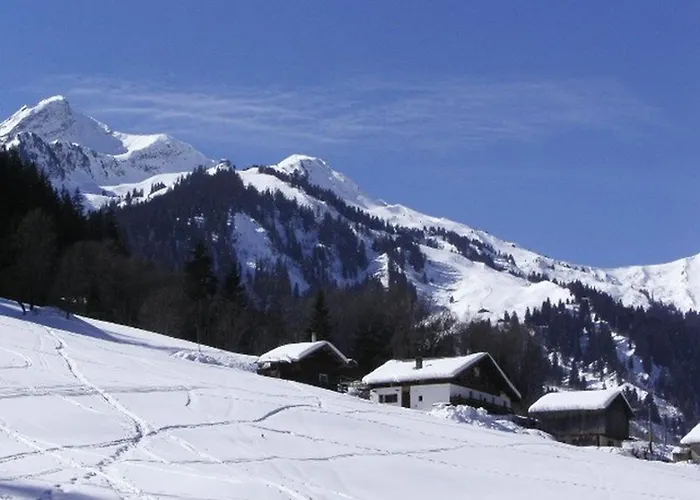 Charmant Studio 2/4 pers à 200m des pistes, balcon sud, animaux admis - FR-1-342-148