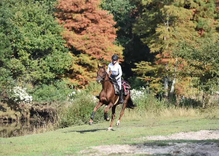 Gite Equestre Marina