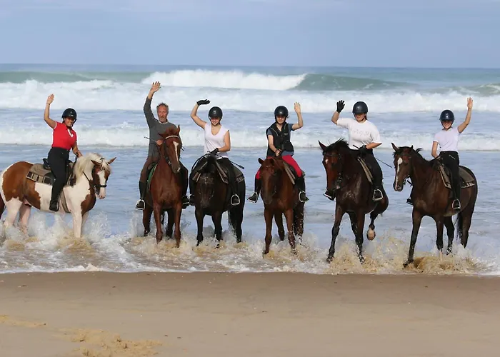Gite Equestre Marina