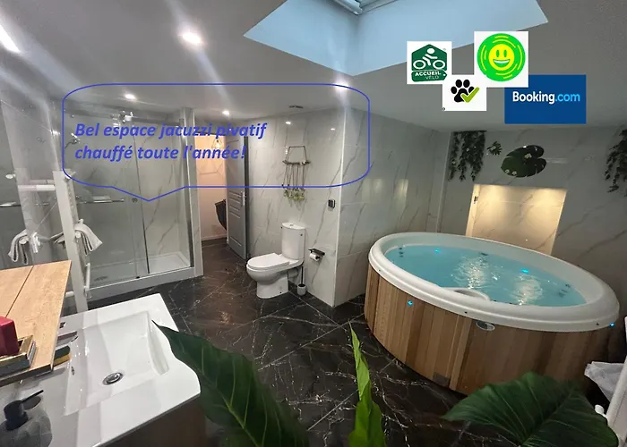 Bel appart stylé avec jacuzzi