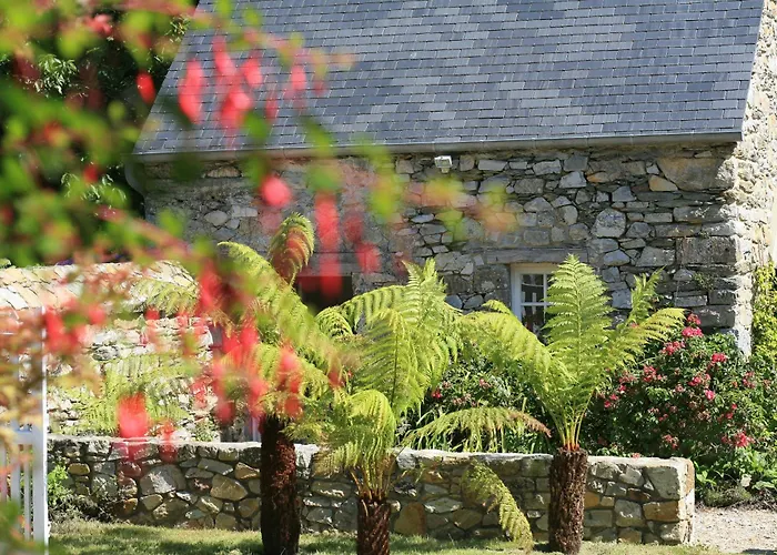 Gîte des Fougères