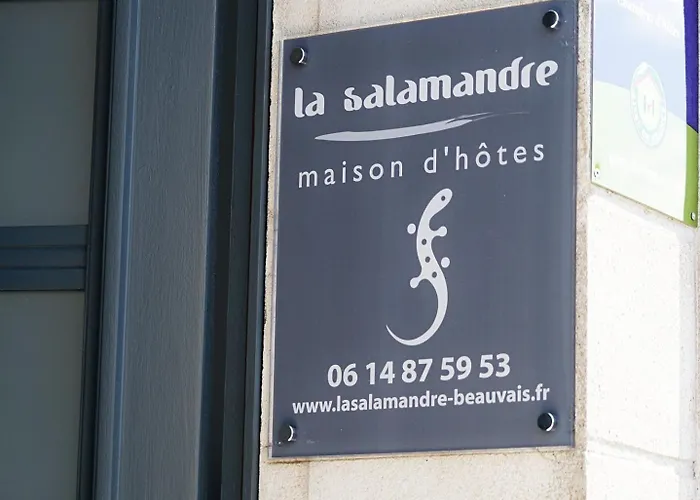 Hôtel-boutique: La Salamandre