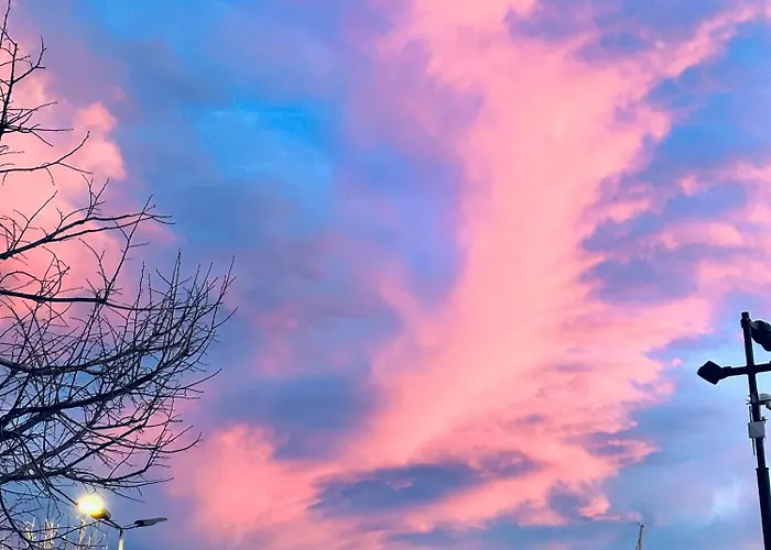 Hôtel: Hotel Restaurant L'Europe