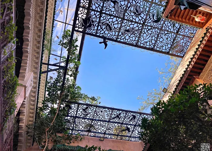 Riad Toyour- Riad Of Birds