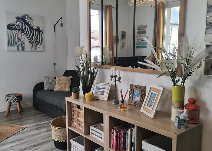 Joli appt cocooning au pied des dunes
