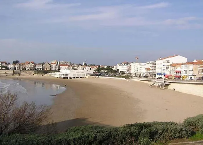Studio Spacieux Face A La Mer Avec Terrasse Et Animaux Acceptes - Fr-1-494-47