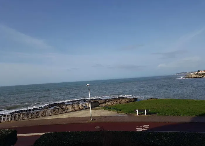 Studio Spacieux Face A La Mer Avec Terrasse Et Animaux Acceptes - Fr-1-494-47