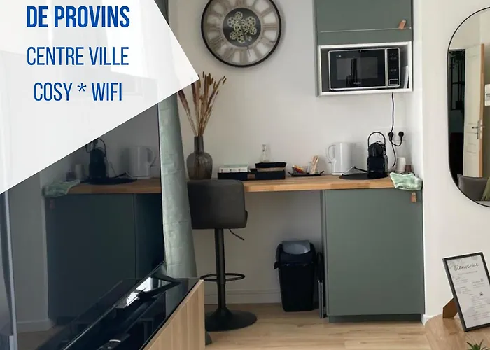 Studio - Suite rénovée de Provins