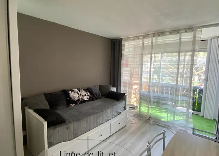 Studio La Baleine Rose Centre Cap D'Agde