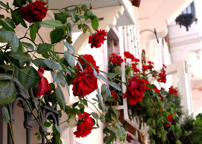 Darussaade Old City - Sultanahmet