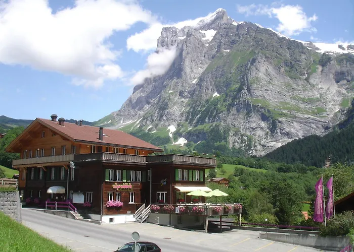 Hôtel pour familles: Hotel Alpenblick