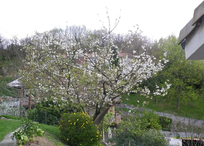 Hôtel de plage: Casa Rural Higeralde